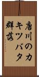 唐川のカキツバタ群落 Scroll