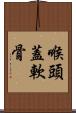 喉頭蓋軟骨 Scroll