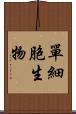 單細胞生物 Scroll