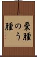 嚢腫 Scroll