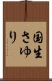 国生さゆり Scroll