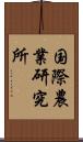 国際農業研究所 Scroll