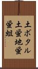 土ボタル Scroll