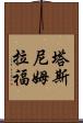 Tasnim Rafa Scroll