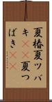 夏椿 Scroll