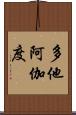 多他阿伽度 Scroll