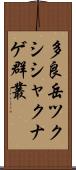 多良岳ツクシシャクナゲ群叢 Scroll