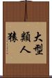 大型類人猿 Scroll