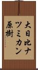 大日比ナツミカン原樹 Scroll