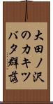 大田ノ沢のカキツバタ群落 Scroll