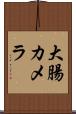 大腸カメラ Scroll