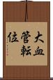 大血管転位 Scroll