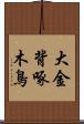 大金背啄木鳥 Scroll