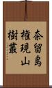 奈留島権現山樹叢 Scroll