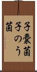 子嚢菌 Scroll