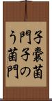 子嚢菌門 Scroll