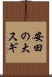 安田の大スギ Scroll