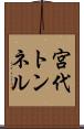 宮代トンネル Scroll