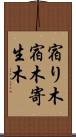 宿り木 Scroll