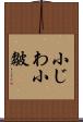 小じわ;小皺 Scroll