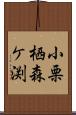 小栗栖森ケ渕 Scroll