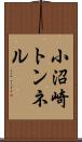 小沼崎トンネル Scroll