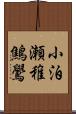 小泊瀬稚鷦鷽 Scroll