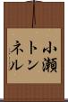 小瀬トンネル Scroll