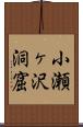 小瀬ヶ沢洞窟 Scroll