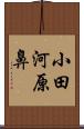 小田河原鼻 Scroll