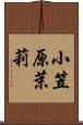 小笠原茉莉 Scroll