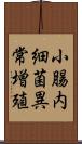 小腸内細菌異常増殖 Scroll