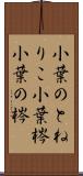 小葉のとねりこ Scroll