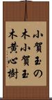 小賀玉の木 Scroll