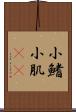 小鰭 Scroll