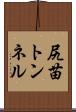 尻苗トンネル Scroll