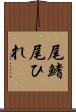 尾鰭 Scroll