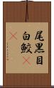 尾黒目白鮫(rK) Scroll
