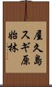 屋久島スギ原始林 Scroll
