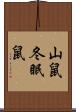 山鼠 Scroll