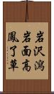 岩沢瀉 Scroll