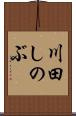 川田しのぶ Scroll