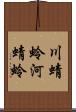 川蜻蛉 Scroll