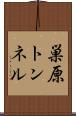 巣原トンネル Scroll