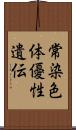 常染色体優性遺伝 Scroll