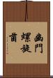 幽門螺旋菌 Scroll