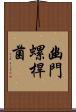 幽門螺桿菌 Scroll