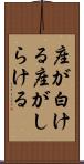 座が白ける Scroll