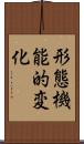 形態機能的変化 Scroll