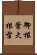 御根葉 Scroll